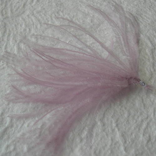 Lot n° 679 - plumes d'autruche de couelur mauve 