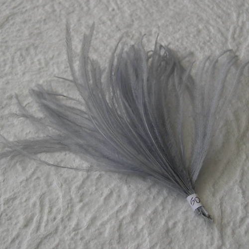 Lot n° 665 - plumes d'autruche de couelur gris 
