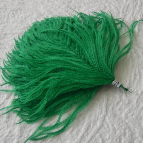 Lot n° 664 - plumes d'autruche de couelur vert 