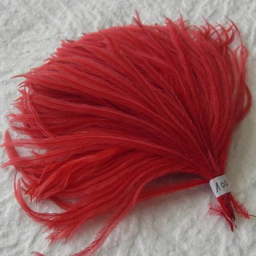 Lot n° 662 - plumes d'autruche de couelur rouge 