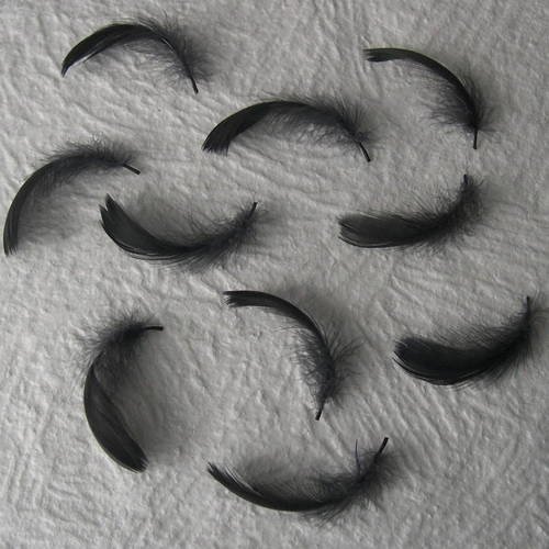 Lot n° 653  - lot de 10 plumes d'oie teintées  8 cm. 