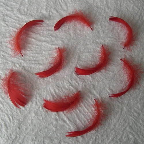 Lot n° 648  - lot de 10 plumes d'oie teintées  6 cm. 