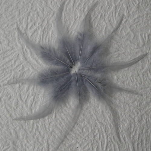 Lot n° 629 - lot de 10 plumes longues de coq 12 - 13 cm. 