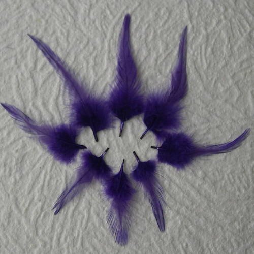 Lot n° 624 - lot de 10 plumes longues de marabout 10 - 12 cm. 