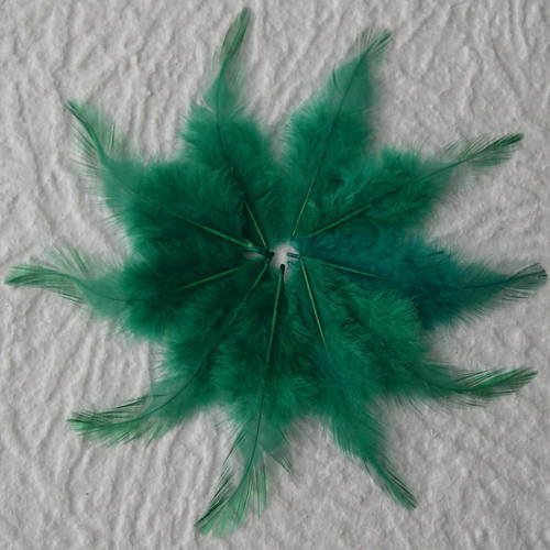 Lot n° 619 - lot de 10 plumes longues de coq 8 cm. 