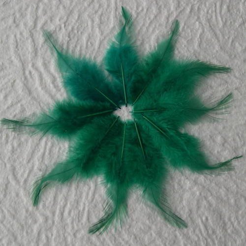 Lot n° 618 - lot de 10 plumes longues de coq 9 cm. 