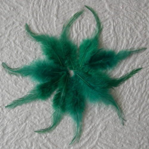 Lot n° 614 - lot de 10 plumes longues de coq 11 - 13 cm. 