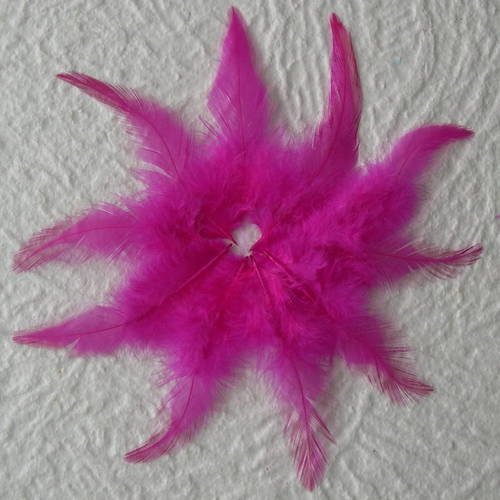 Lot n°603 - lot de 10 plumes teintées de coq  10 - 11  cm. 