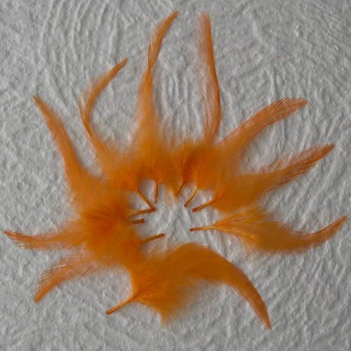 Lot n° 586 -  lot de 10 plumes teintées de coq 8 - 12 cm. 