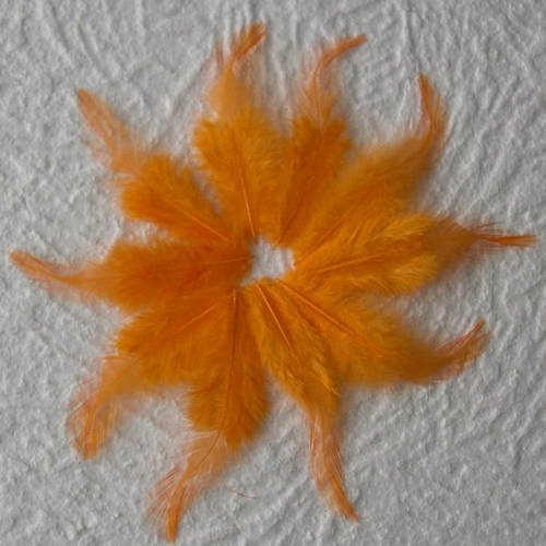 Lot n° 585 - lot de 10 plumes teintées de coq  9  cm. 