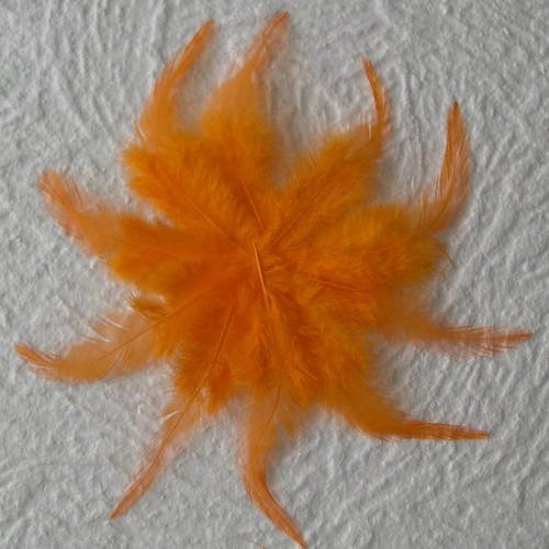 Lot n° 583 - lot de 10 plumes teintées de coq  10  cm. 