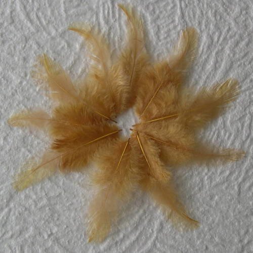 Lot n° 579 - lot de 10 plumes teintées de coq  9  cm. 
