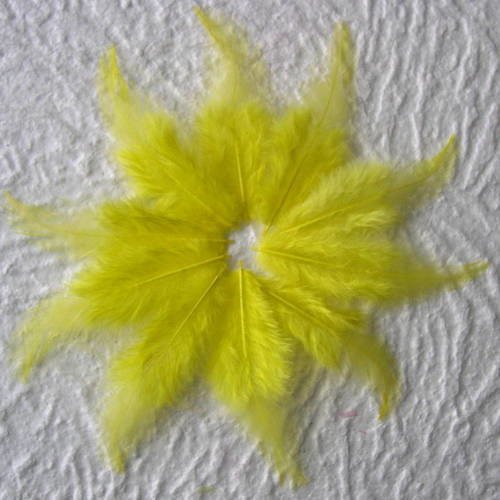 Lot n° 576 - lot de 10 plumes teintées de coq  7 - 8  cm. 