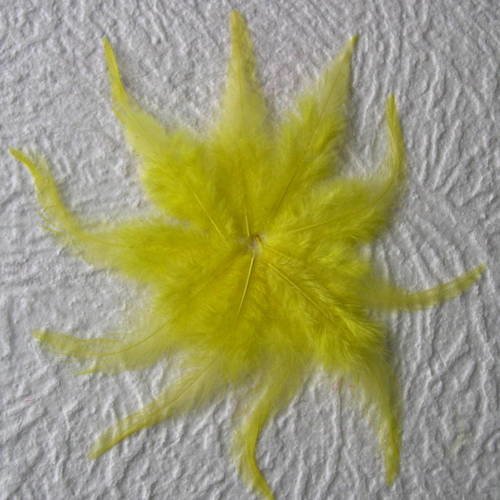 Lot n° 574 - lot de 10 plumes longues de coq  10 - 11 cm. 
