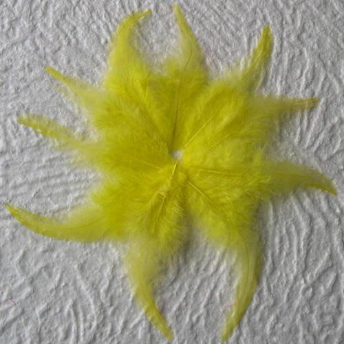 Lot n° 573 - lot de 10 plumes longues de coq  11 - 13 cm. 