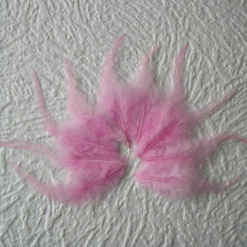 Lot n° 563 - lot de 10 plumes teintées de coq  11 - 13 cm. 