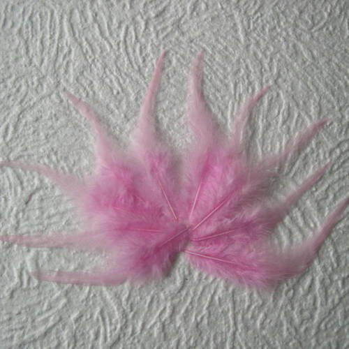 Lot n° 562 - lot de 10 plumes  de coq 12 - 14 cm. 