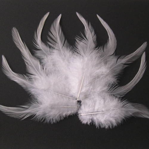 Lot n° 560 - lot de 10 plumes teintées de coq  10 - 12 cm. 