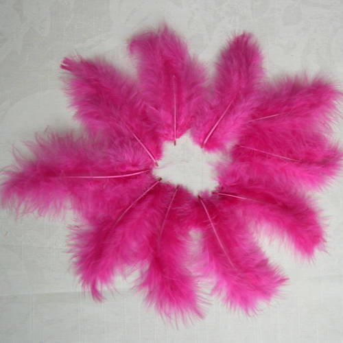 Lot n° 486- lot de 10 plumes de marabout teintées 10 cm. 