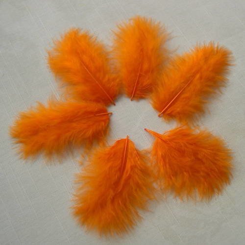 Lot n° 469 - lot de 6 plumes de marabout teintées  7 - 8 cm. 