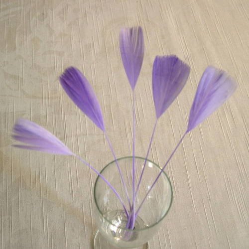Lot n°462 -  5 plumes de coq filant de couleur violet 