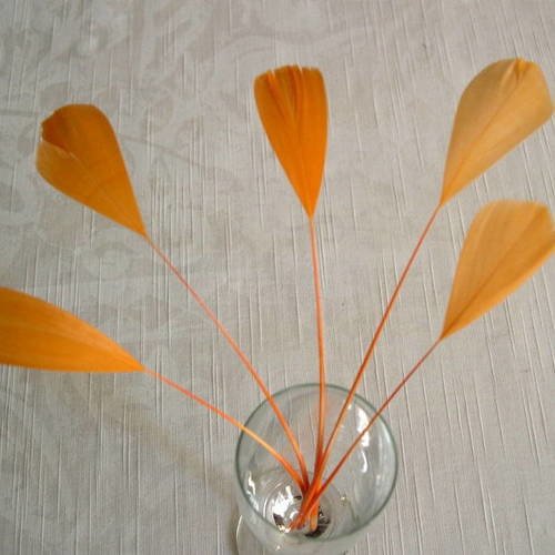 Lot n°455 -  5 plumes de coq filant de couleur orange 