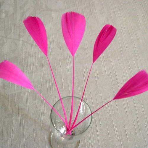 Lot n°454 -  5 plumes de coq filant de couleur rose 
