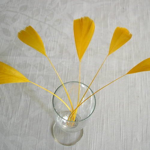 Lot n°451 -  5 plumes de coq filant de couleur jaune 