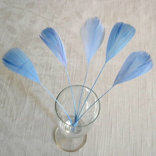 Lot n°450 -  5 plumes de coq filant de couleur bleu 