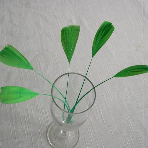 Lot n°446 -  5 plumes de coq filant de couleur vert 