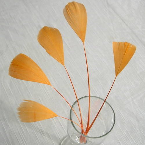 Lot n°445 -  5 plumes de coq filant de couleur orange 