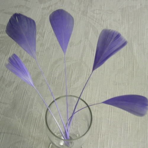 Lot n°443 -  5 plumes de coq filant de couleur violet 