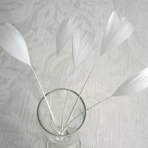 Lot n°441 -  5 plumes de coq filant de couleur blanc 