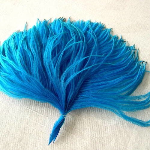 Lot n°348 - plumes d'autruche de couleur bleu 