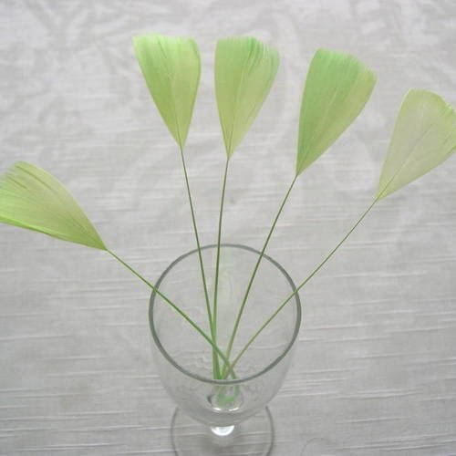 Lot n°338 - 5 plumes de coq filant couleur vert celedan 