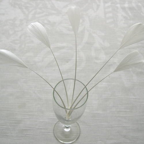 Lot n°333 - 5 plumes de coq filant couleur blanc 