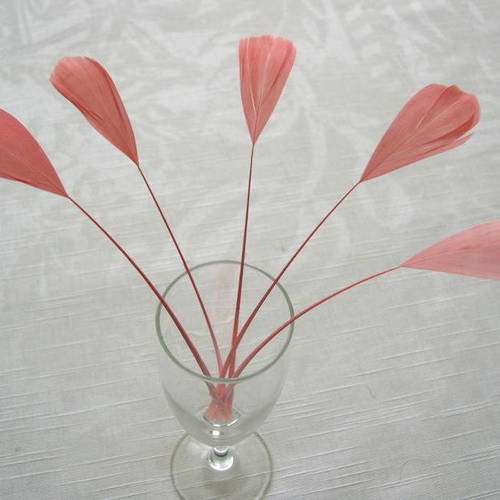 Lot n°324 - 5 plumes de coq filant couleur pêche 
