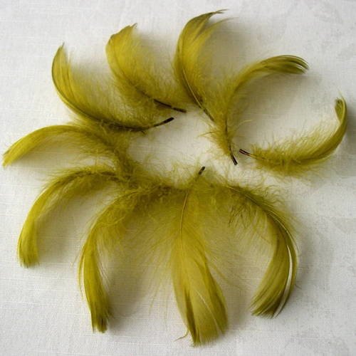 Lot n°273 - plumes d'oie 8-9 cm. 