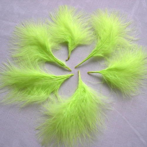 Lot n°237 -  6 plumes   de  marabout 10-12 cm. 