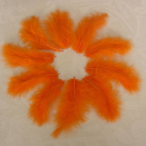 Lot n°137 - 10 plumes  de marabout 5-10 cm. 