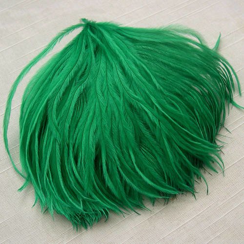 Lot n°104 - plumes d'autruche de couleur vert 