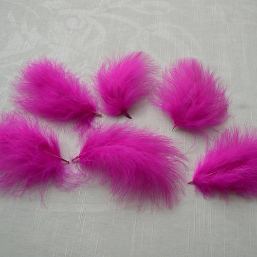 Lot n°72  - 6  plumes  de marabout 12-14 cm. 