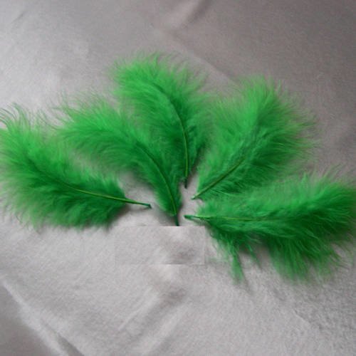 Lot n°39 - plumes de marabout 18-19 cm. 