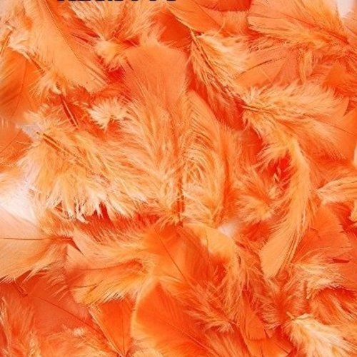 Plume de dinde orange abricot (8 cm et +)