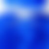 Plume de dinde bleu royal (8 cm et +)