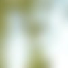 Plume de dinde blanc (8 cm et +)