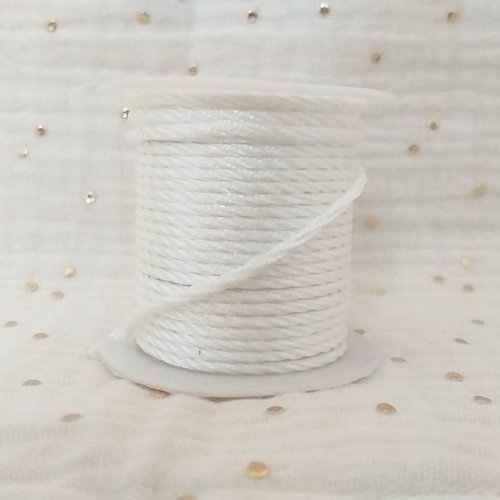Cordon nylon blanc (2,50 mètres x 2.5mm diamètre)