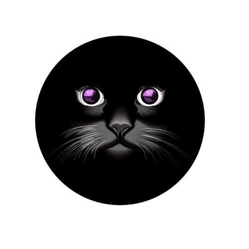 Animaux Miroir 56mm Chat 1