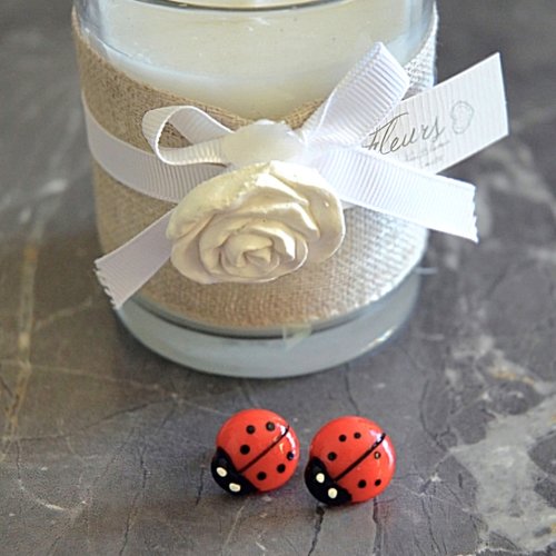 Puces d'oreilles coccinelles
