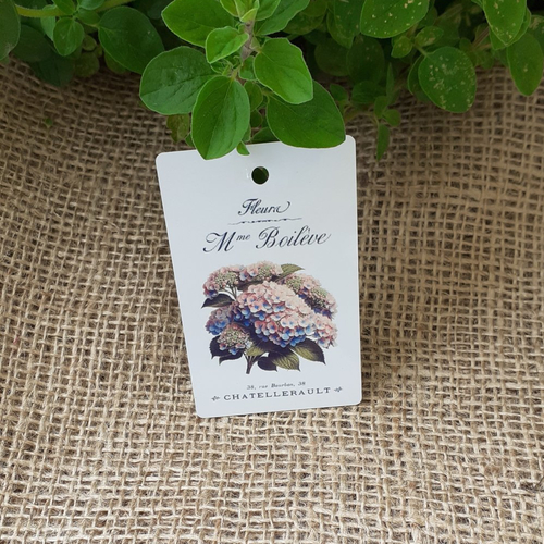 Etiquette hortensia/printemps - plaque, décoration, déco, shabby chic, jardin, cadeau fête des mères